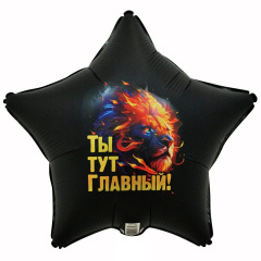 ТЫ ТУТ ГЛАВНЫЙ Лев 18"/46СМ ВЗ уп